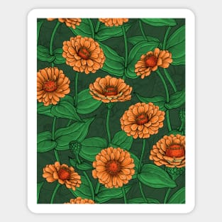 Orange Zinnia flowers, green leaves on dark green Sticker